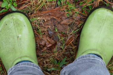 Bahara hazırlanmak için bir kış bahçesinde çalışıyorum.