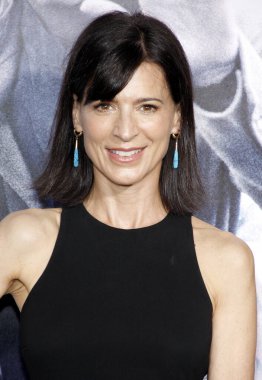 Perrey Reeves, 26 Ekim 2015 'te ABD' nin Hollywood kentindeki TCL Çin Tiyatrosu 'nda düzenlenen' Bizim Markamız Krizdir 'in Los Angeles galasında.