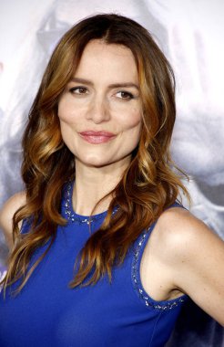 Saffron Burrows, 26 Ekim 2015 'te ABD' nin Hollywood kentindeki TCL Çin Tiyatrosu 'nda düzenlenen' Bizim Markamız Krizdir 'galasında.