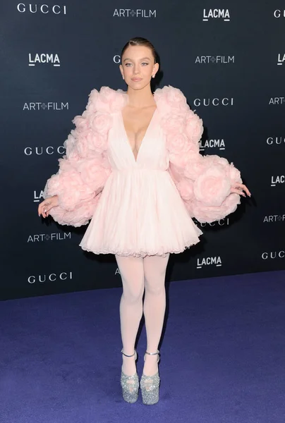 시드니 스위니 Lacma Art Film Gala Presented Gucci Held Los — 스톡 사진
