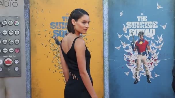 Daniela Melchior Los Angeles Premiere Suicide Squad Held Regency Village — Video Stock
