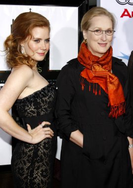 Meryl Streep ve Amy Adams, 30 Kasım 2008 tarihinde Hollywood 'da Grauman' ın Çin Tiyatrosu 'nda düzenlenen AFI FEST 2008 Açılış Gecesi Şüphe Filmi galasında.