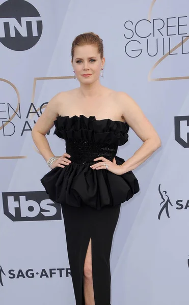 Amy Adams Roční Screen Actors Guild Awards Konala Hledišti Svatyně — Stock fotografie