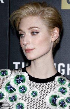 Elizabeth Debicki, 5 Nisan 2016 'da ABD' nin Hollywood kentindeki DGA Tiyatrosu 'nda düzenlenen AMC' nin Gece Yöneticisi 'nin Los Angeles galasında.