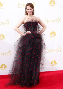 Los Angeles, Ca - 25 Ağustos 2014: Sarah Paulson 66 yıllık Primetime Emmy Ödülleri'nde Nokia Theatre L.A. Live Los Angeles, ABD 25 Ağustos 2014 düzenlenen.