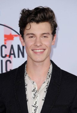 9 Ekim 2018 Los Angeles, ABD Microsoft Theater Shawn Mendes 2018 Amerikan Müzik Ödülleri'nde düzenlenen.
