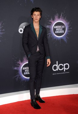 Shawn Mendes, Los Angeles, Usa 'daki Microsoft Tiyatrosu' nda 24 Kasım 2019 'da düzenlenen 2019 Amerikan Müzik Ödülleri' nde.