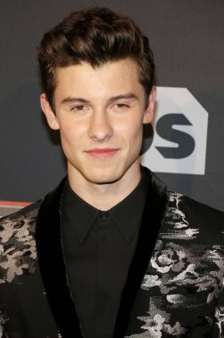 Shawn Mendes, 5 Mart 2017 'de Inglewood, ABD' de düzenlenen iHeartRadio Music Awards 'da.