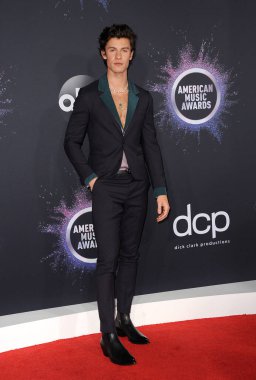 Shawn Mendes, Los Angeles, Usa 'daki Microsoft Tiyatrosu' nda 24 Kasım 2019 'da düzenlenen 2019 Amerikan Müzik Ödülleri' nde.