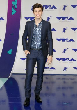 Shawn Mendes, 27 Ağustos 2017 tarihinde Inglewood, ABD 'de düzenlenen 2017 MTV Video Müzik Ödülleri' nde.
