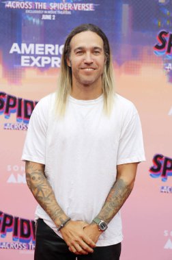 Pete Wentz, 30 Mayıs 2023 'te ABD' nin Westwood kentindeki Regency Village Theater 'da düzenlenen Örümcek Adam' ın galasında.