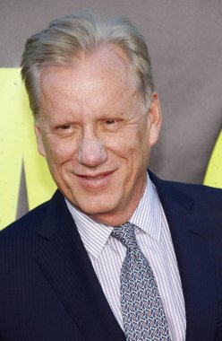 James Woods, 25 Haziran 2012 'de ABD' nin Westwood kentindeki Mann Village Tiyatrosu 'nda düzenlenen Savages' ın Los Angeles galasında.