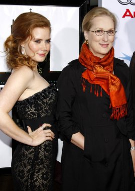 Meryl Streep ve Amy Adams, 30 Kasım 2008 tarihinde Hollywood 'da Grauman' ın Çin Tiyatrosu 'nda düzenlenen AFI FEST 2008 Açılış Gecesi Şüphe Filmi galasında.