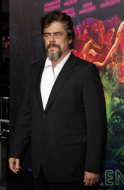 Benicio Del Toro, 10 Aralık 2014 tarihinde ABD 'nin Hollywood kentindeki TCL Çin Tiyatrosu' nda düzenlenen 'Inherent Vice' filminin dünya prömiyerinde.