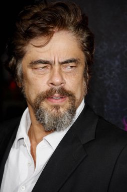 Benicio Del Toro, 10 Aralık 2014 tarihinde ABD 'nin Hollywood kentindeki TCL Çin Tiyatrosu' nda düzenlenen 'Inherent Vice' filminin dünya prömiyerinde.