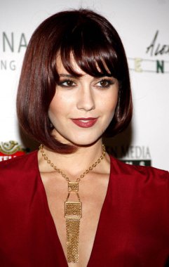 Mary Elizabeth Winstead, 8 Nisan 2015 'te ABD' nin Batı Hollywood kentindeki Londra Oteli 'nde düzenlenen' Venedikli Alex 'in dünya prömiyerinde.