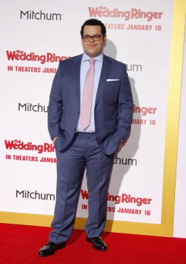 Josh Gad, 6 Ocak 2015 'te ABD' nin Los Angeles kentindeki TCL Çin Tiyatrosu 'nda düzenlenen 