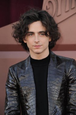 Timothee Chalamet, 10 Aralık 2023 'te ABD' nin Westwood kentindeki Regency Village Theater 'da düzenlenen' Wonka 'nın Los Angeles galasında.