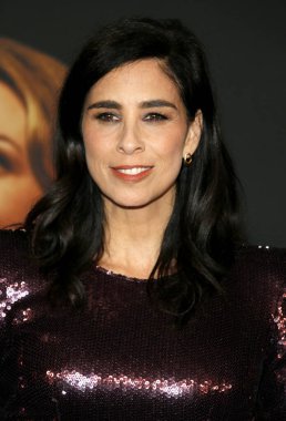 Sarah Silverman, Netflix 'in 