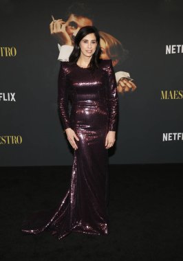 Sarah Silverman, Netflix 'in 