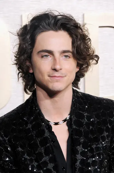 Timothee Chalamet, Beverly Hills, ABD 'deki Beverly Hilton Oteli' nde 7 Ocak 2024 'te düzenlenen 81..