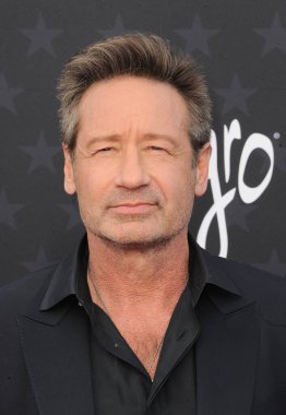 David Duchovny, 14 Ocak 2024 'te ABD' nin Santa Monica kentindeki Barker Hangarında düzenlenen 29..