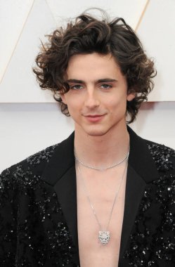 Timothee Chalamet, 27 Mart 2022 'de ABD' nin Los Angeles kentindeki Dolby Tiyatrosu 'nda düzenlenen 94..