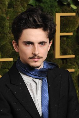 Timothee Chalamet, 5 Ocak 2025 'te Beverly Hills, ABD' deki Beverly Hilton Oteli 'nde düzenlenen 82..