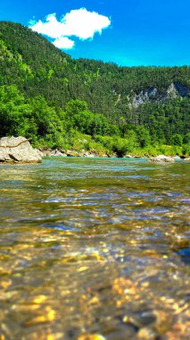 Alp Dağları 'ndaki Zaalach Nehri.