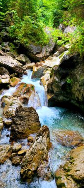 Dar bir dağ kanyonunda turkuaz suyu olan bir dağ nehri, yağmurdan sonra ıslak kayalar ve orman.