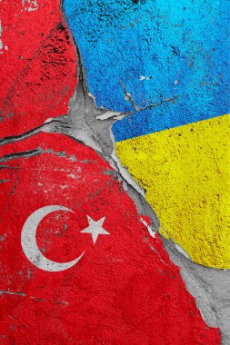 Türkiye ile Ukrayna arasındaki çatlak, siyasi ve ekonomik ilişkilerde küresel kriz kavramı