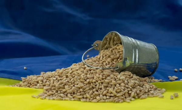 Tipped Bucket Wheat Grain Lies Ukrainian Flag Concept Food Crisis — Stock Photo, Image