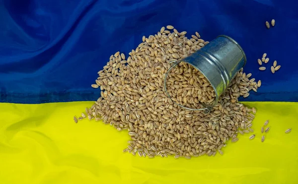 stock image On the left frame an overturned bucket of wheat grain on the Ukrainian flag, the concept of the food crisis, the grain deal, Russia's war against Ukraine