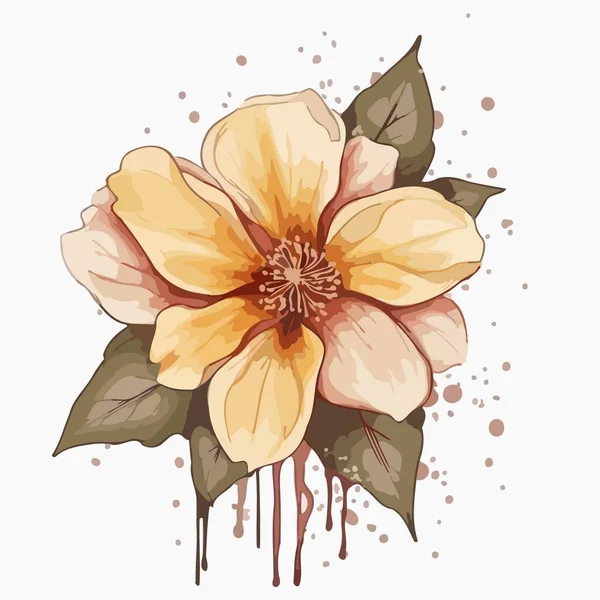 Flower illustration, watercolor painting about flowers