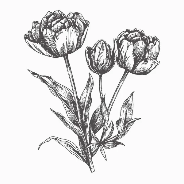 How to Draw a Flower - Drawingforall.net