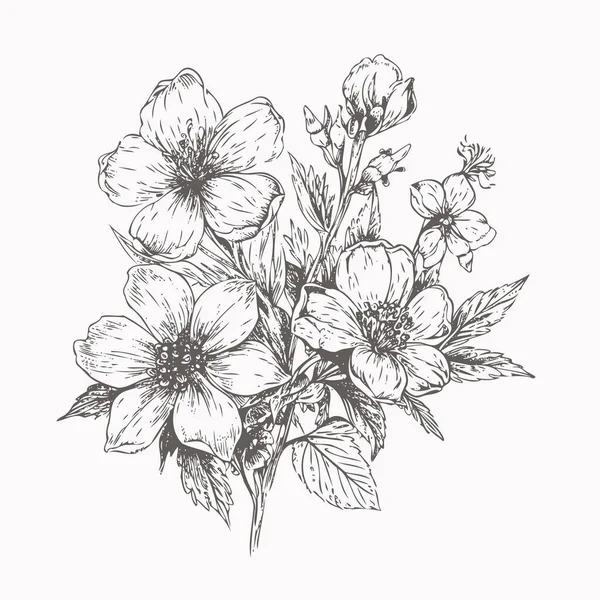 Flower Drawing Tutorial: How to Draw an Anemone Flower