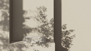 Premium podium on pastel Background for product display, Abstract geometric composition with branch and shadow on the wall -3D render. Mock up for exhibitions. Promotion.