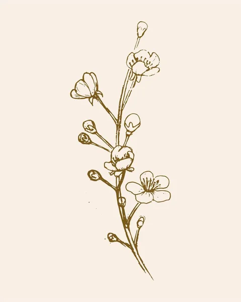 Printemps Avec Petites Fleurs Style Croquis — Image vectorielle