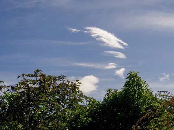 Ein Paar Kleine Weiße Wolken Die Frühen Morgen Über Einem — Stockfoto