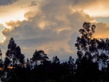 Dense cloud at sunset behind the trees in the Andean mountains near the colonial town of Villa de Leyva in central Colombia.