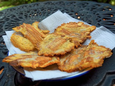 Close-up photography of a plate with freshly fried tostones with salt, captured in a farm near the town of Arcabuco in central Colombia.