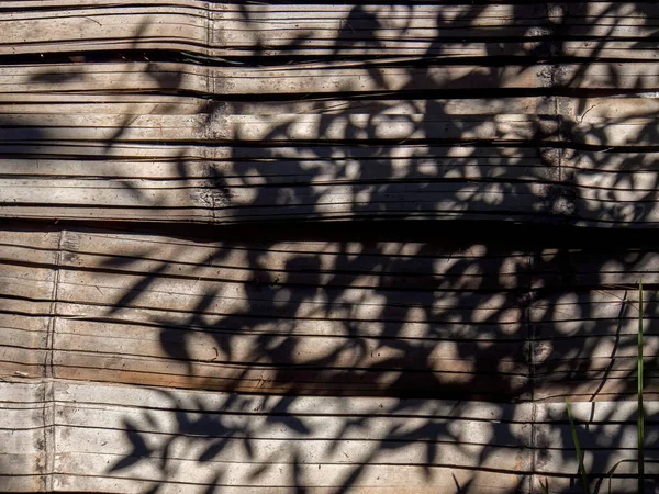 The shadows on the cane wall of a rustic shed, captured in a farm near the colonial town of Villa de Leyva in central Colombia.