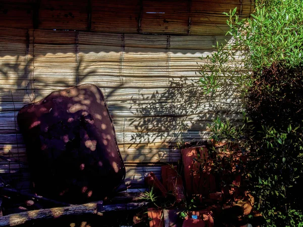 Shadows and old objects against the cane wall of a rustic shed in a farm near the colonial town of Villa de Leyva in central Colombia.