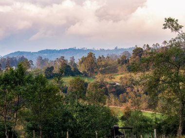 Tozlu kırsal bir yol, Kolombiya 'nın orta kesimindeki And Dağları' nın ormanlarını ve çiftliklerini geçer. Arcabuco kasabası yakınlarında, bulutlu bir öğleden sonra..