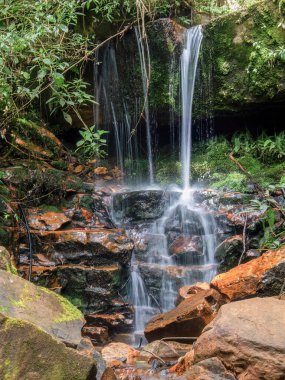 Kolombiya 'nın orta Andean dağlarında, Gachantiva kasabası yakınlarındaki bir yağmur ormanının ortasında küçük bir şelaleye uzun süre maruz kalmak..