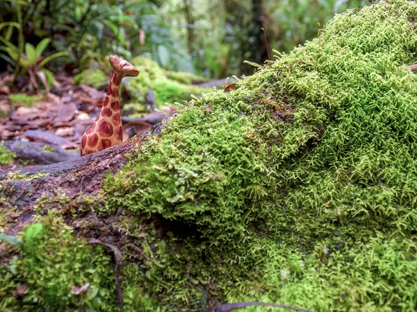 Fotografia Bliska Rękodzieła Drewnianej Figurki Zwierzęcej Mechem Nad Pniem Lesie — Zdjęcie stockowe