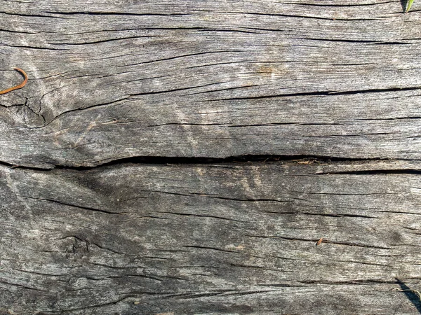 Macro Photographie Texture Une Vieille Planche Bois Eucalyptus Prise Sur — Photo