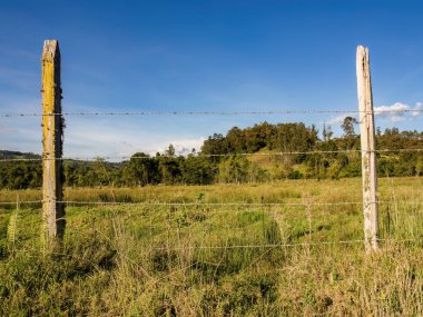 Dikenli çitlerin bir bölümü, açık bir öğleden sonra, Orta Kolombiya 'nın doğu And Dağları' nda.