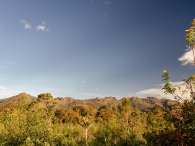 Orta Kolombiya 'nın doğu And Dağları' ndaki Iguaque 'nin fauna ve flora tapınakları, gün batımının ışığıyla aydınlandı..