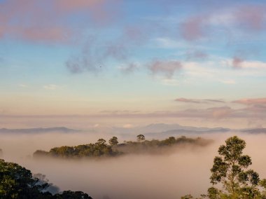 Sabahın erken saatlerinde Orta Kolombiya 'nın doğu And Dağları' nda alçak sis ile kaplı bir tepe ve ormanın daha yakın görüntüsü.